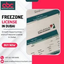 Freezone License in Dubai