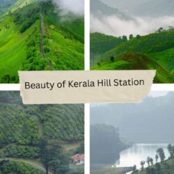 Beauty of Kerala Hill Station (2)