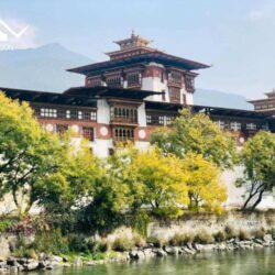 httpswanderon.inblogsmonasteries-in-bhutan