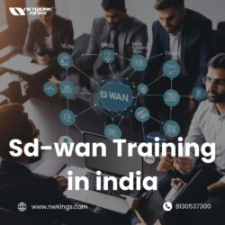 Sd-wan Training in india