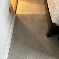 Efficient Carpet Cleaning in North London