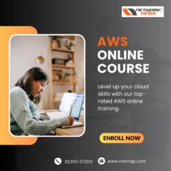 AWS  ONLINE  COURSE-compressed
