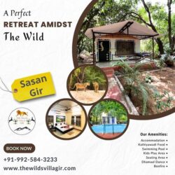best-resorts-in-Sasan Gir