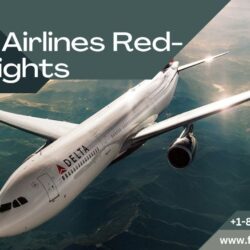 Delta Airlines Red-Eye Flights