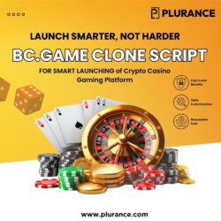 Plurance - Readymade BC.Game Clone Script
