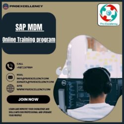 SAP MDM Online Training (1)