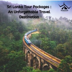 Sri lanka tour packages