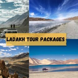 ladakh classified