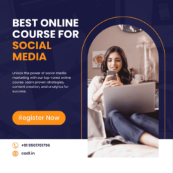 best online course for social media marketing (1)