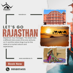 Rajasthan tour packages (1)