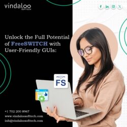 Unlock the Full Potential of FreeSWITCH with User-Friendly GUIs_650