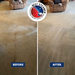 Professional Carpet Cleaning in Charlotte NC