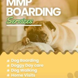 Book secured and verified Dog Boarding Services in Pune Mr n Mrs Pet
