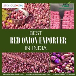 Best Red Onion Exporter in India