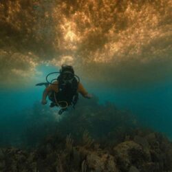 Puerto Morelos Diving