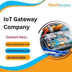 IoT Gateway Company (1)