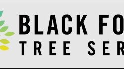 Black Forest Tree