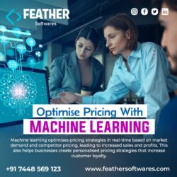 Machine learning in Price optimisation (1)