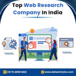 Top Web Research Company In India (1)