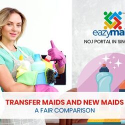 Transfer Maid