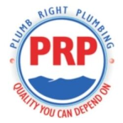 plumbrightplumbing logo