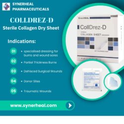 2. CollDrez D sterile collagen dry sheet
