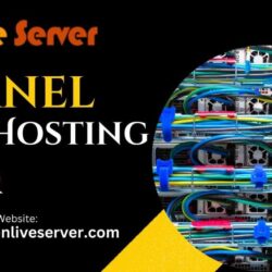 cPanel Web Hosting (10)