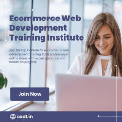 ecommerce web development training institute (1)