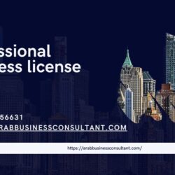 Professional business license Dubai