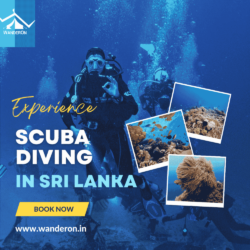 Scuba Diving (1) (1) (1)