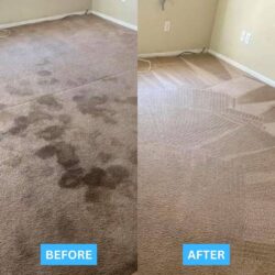 Best residential carpet cleaning in San Jose CA