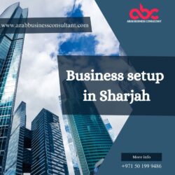 Business setup in Sharjah (3)