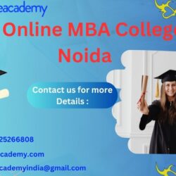 Top Online MBA College In Noida
