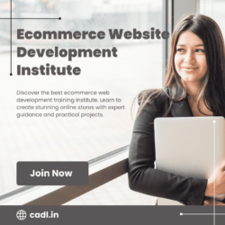 ecommerce website development institute (1)
