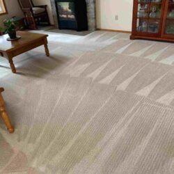 No1 carpet cleaning in Hillsboro OR