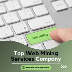 Top Web Mining Services Company