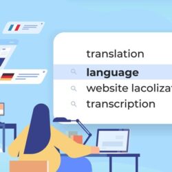 Efficiency of Translation Services