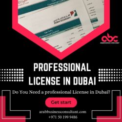 professional License in Dubai (1)