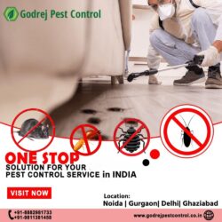 Pest Control India (3)