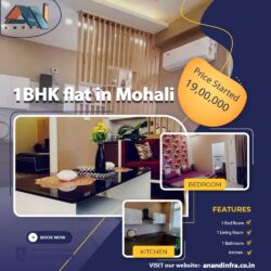 1 BHK Flats for sale in Mohali-Anand infra