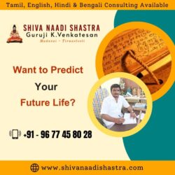 Future-Prediction-Nadi-Astrologer-in-Tamilnadu