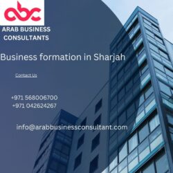 Business formation in Sharjah (1)