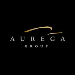 auregaaccounting logo