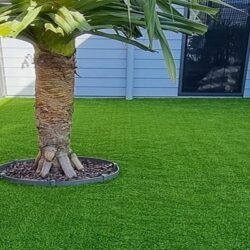 Artificial grass suppliers Australia