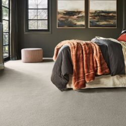 Elevate Your Space with Eco Friendly Wool Carpet Flooring