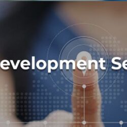 CMS Development Services