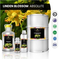 Linden Blossom Absolute
