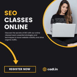 seo classes online (1)