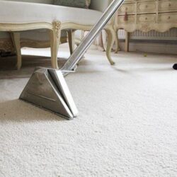 Carpet Cleaning Newport