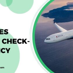 Delta Airlines Flight Check-In Policy